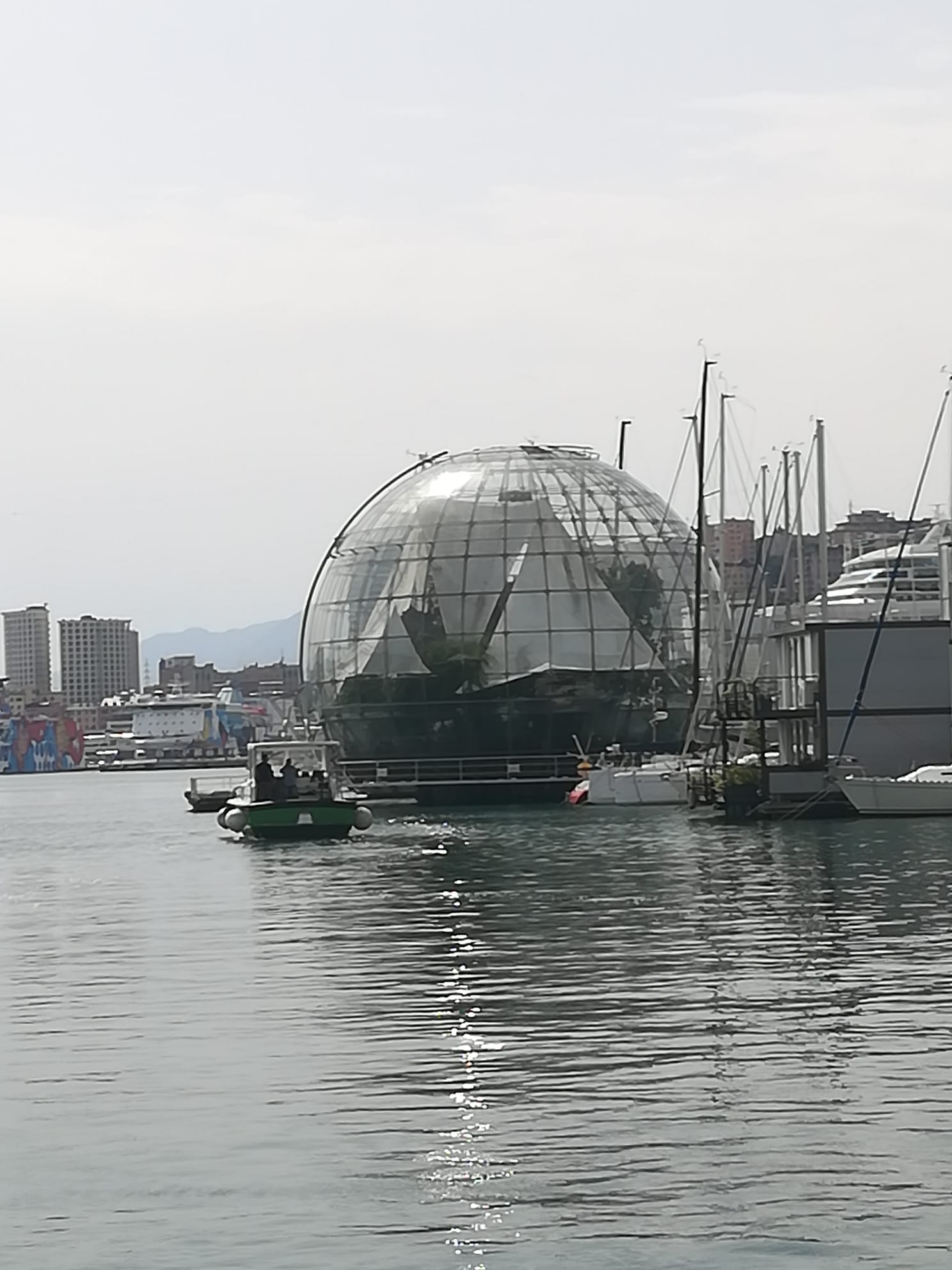 I maranza al Porto Antico